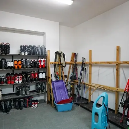 Forest Dream * Bjelašnica