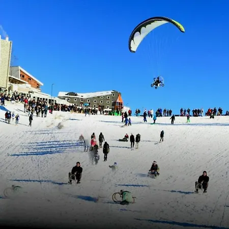 Διαμέρισμα Forest Dream